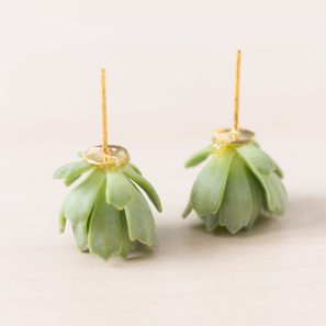 earrings made from live succulents