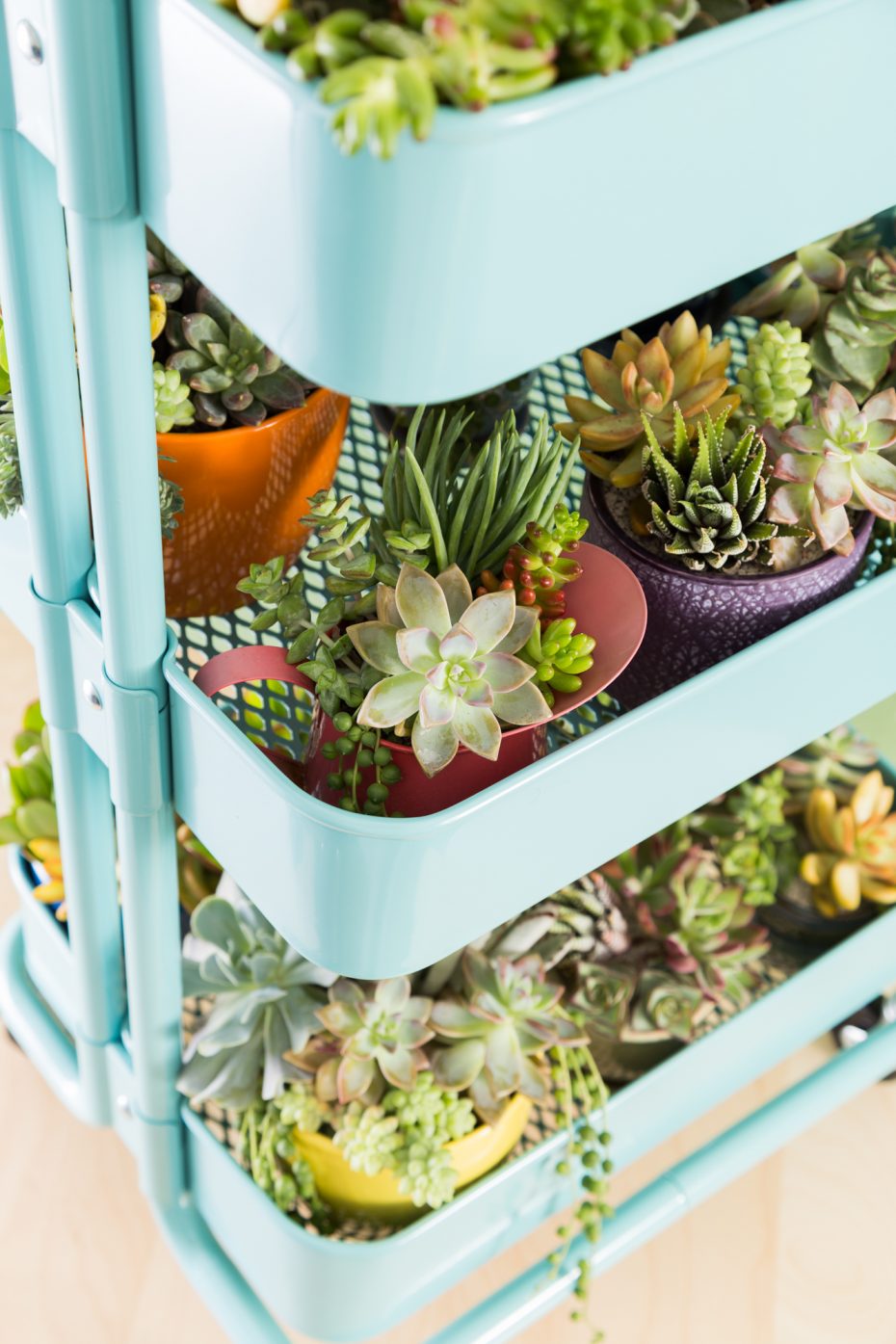 potted succulents in ikea raskog cart