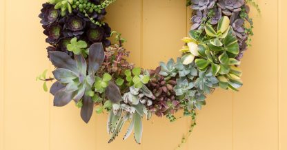 living succulent wreath tutorial