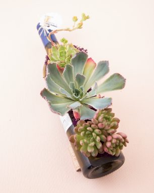 looking sharp cactus wine bottle planter