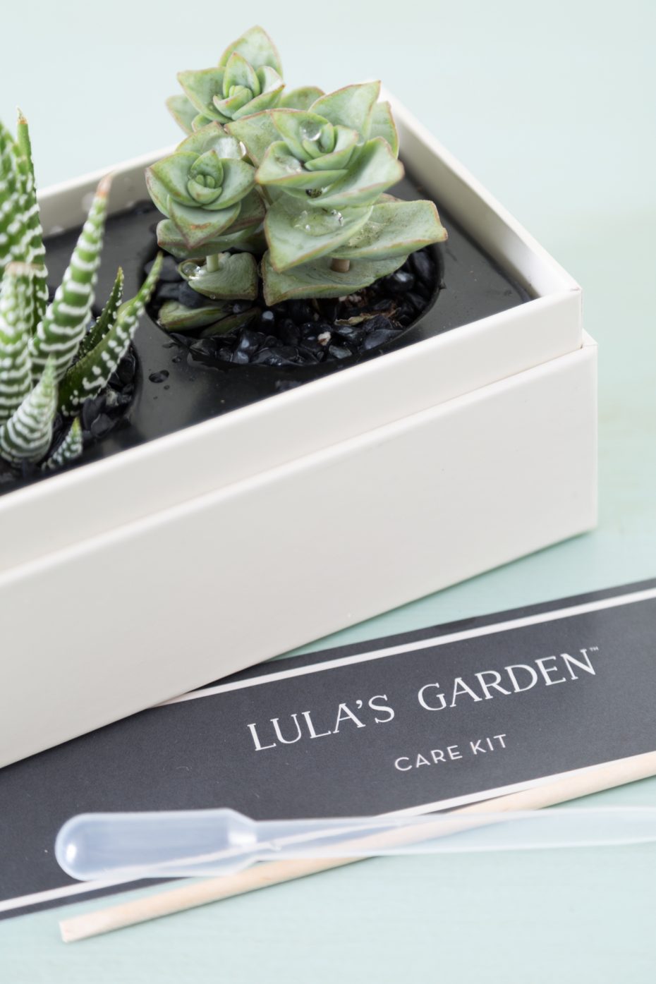 lulas garden gift box watering pipette no drainage