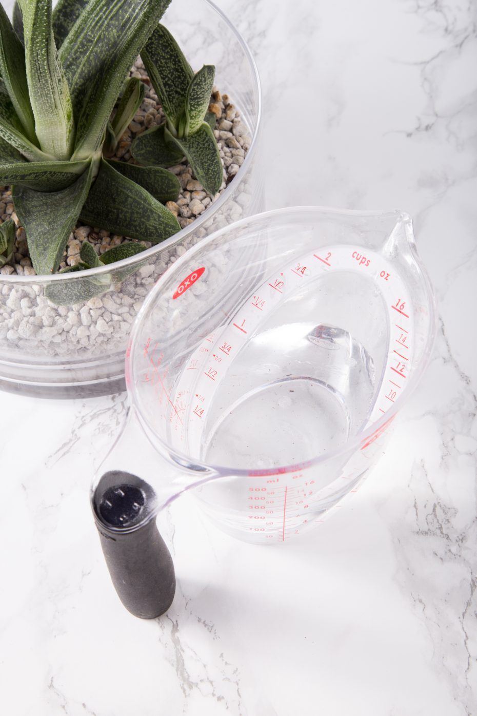 measuring cup watering succulents glass container gasteria marble