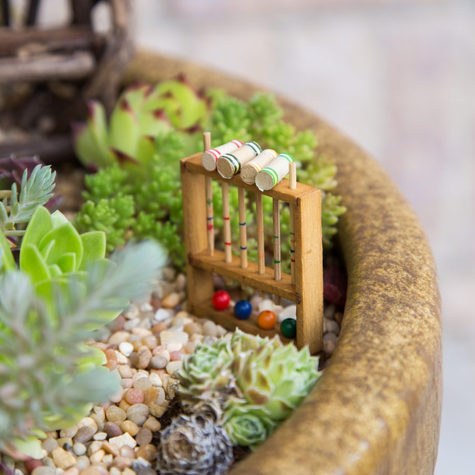 mini succulent croquet garden