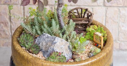 mini succulent rock garden planter