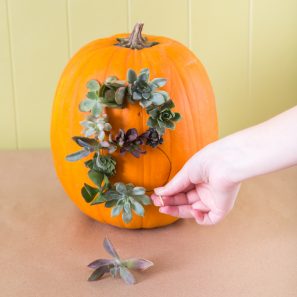 use succulents to create a word on pumpkin unique decoration idea