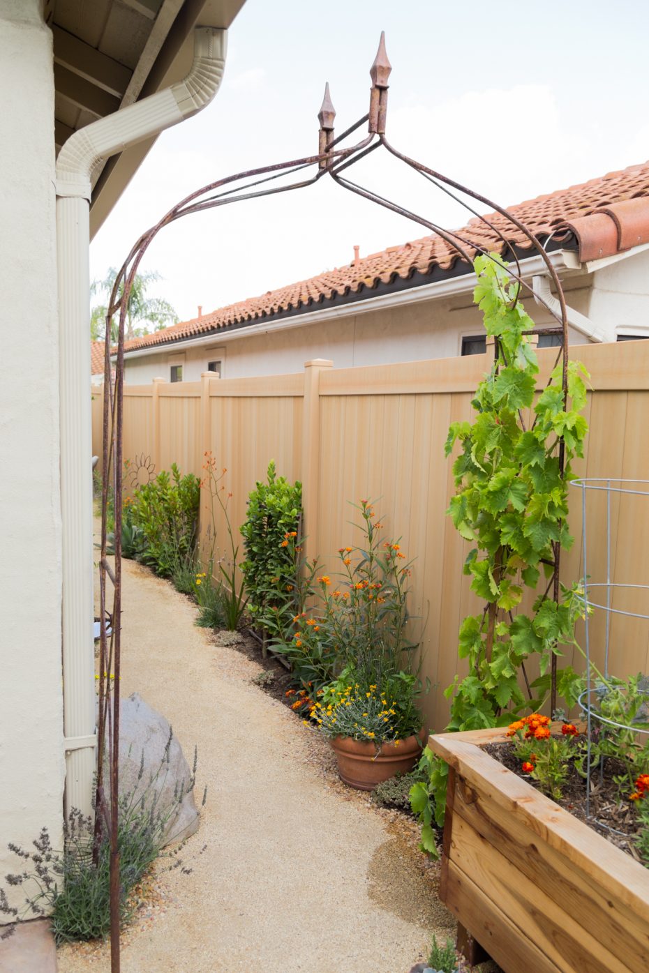 backyard pathway lined with plants arch