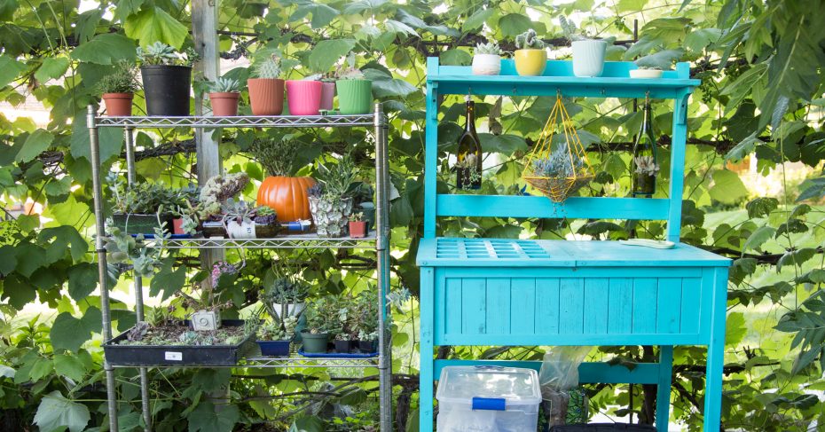 metal succulent planting shelf blue succulent potting table