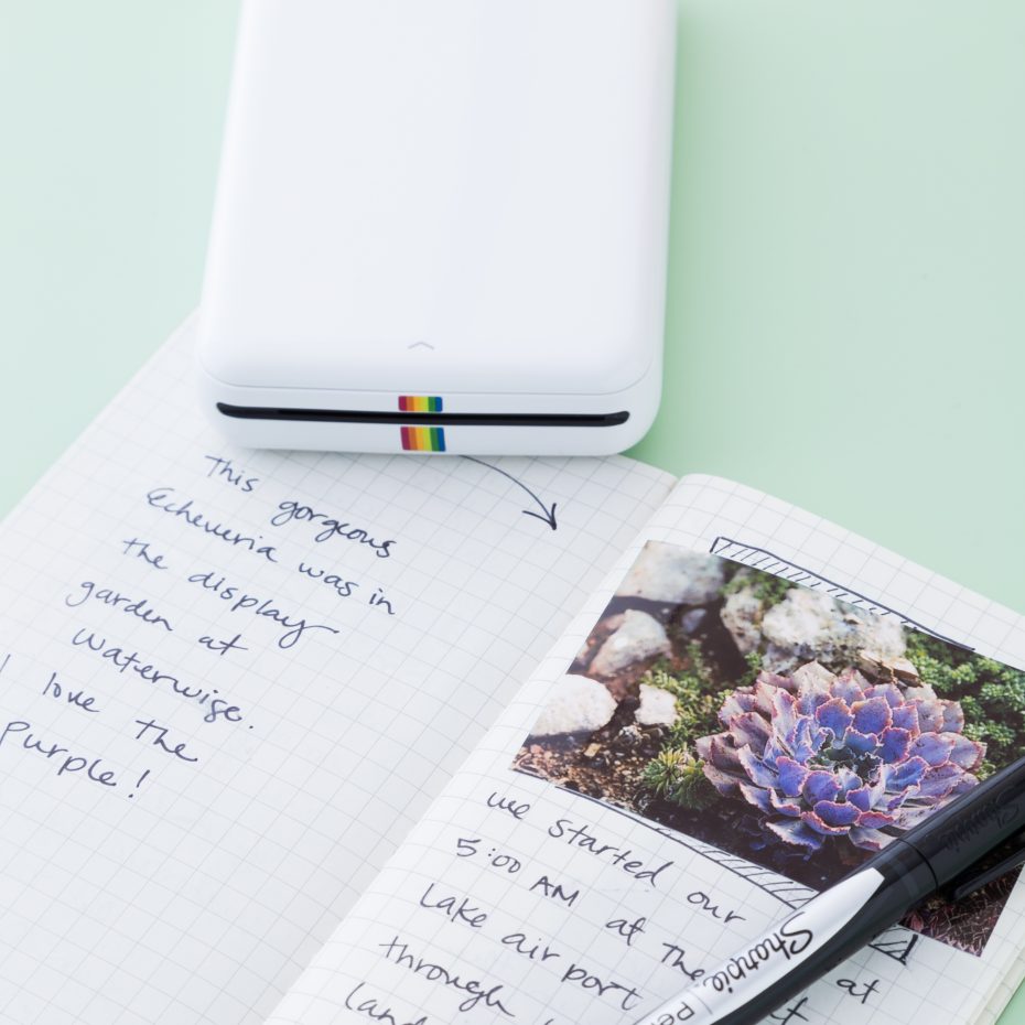 purple succulent journal text pen printer