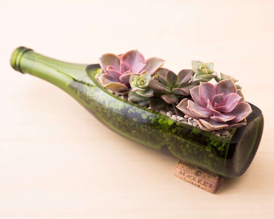 purple green succulents wine bottle