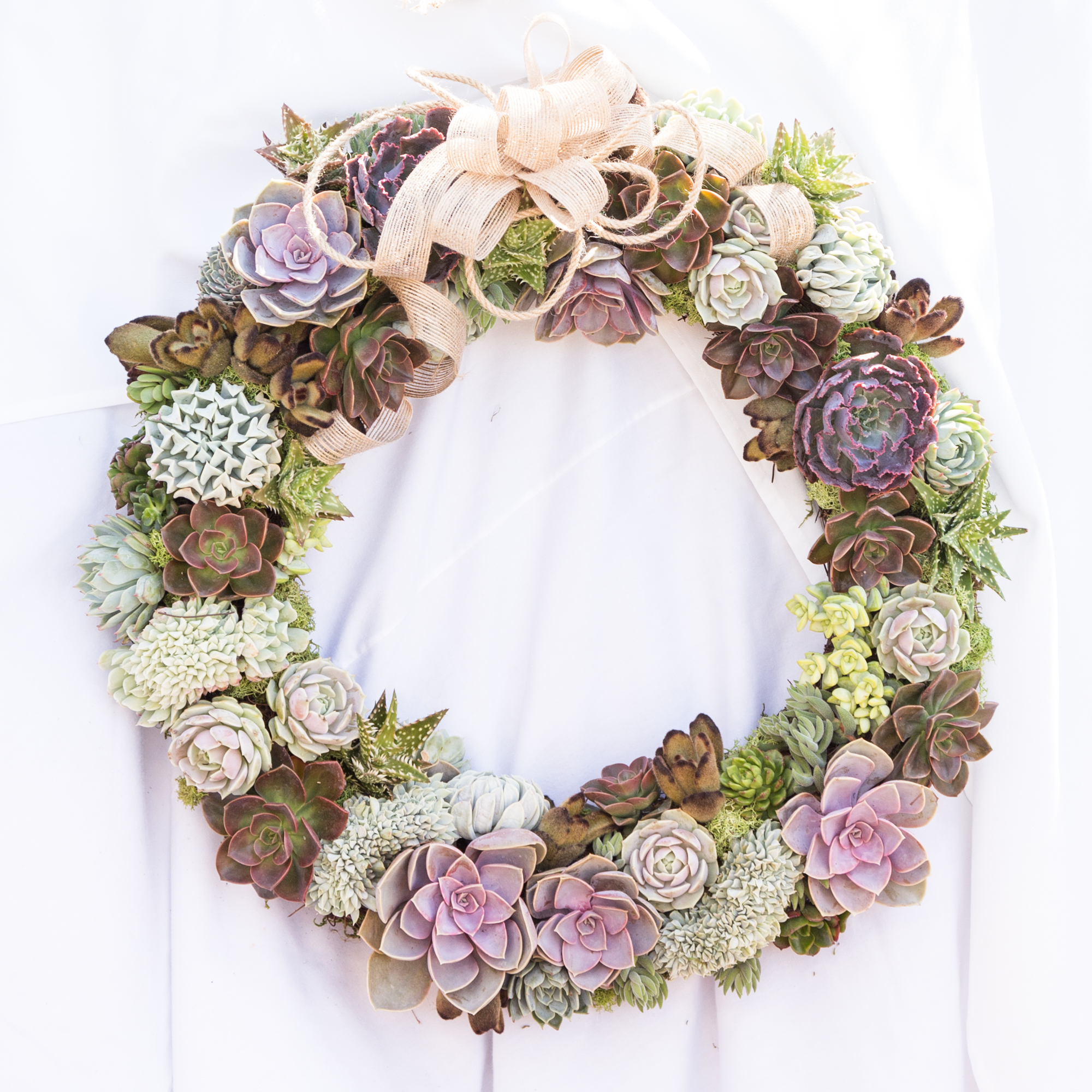 purple succulent wreath