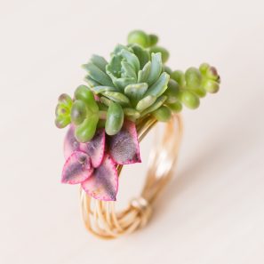 wire ring made with living succulents