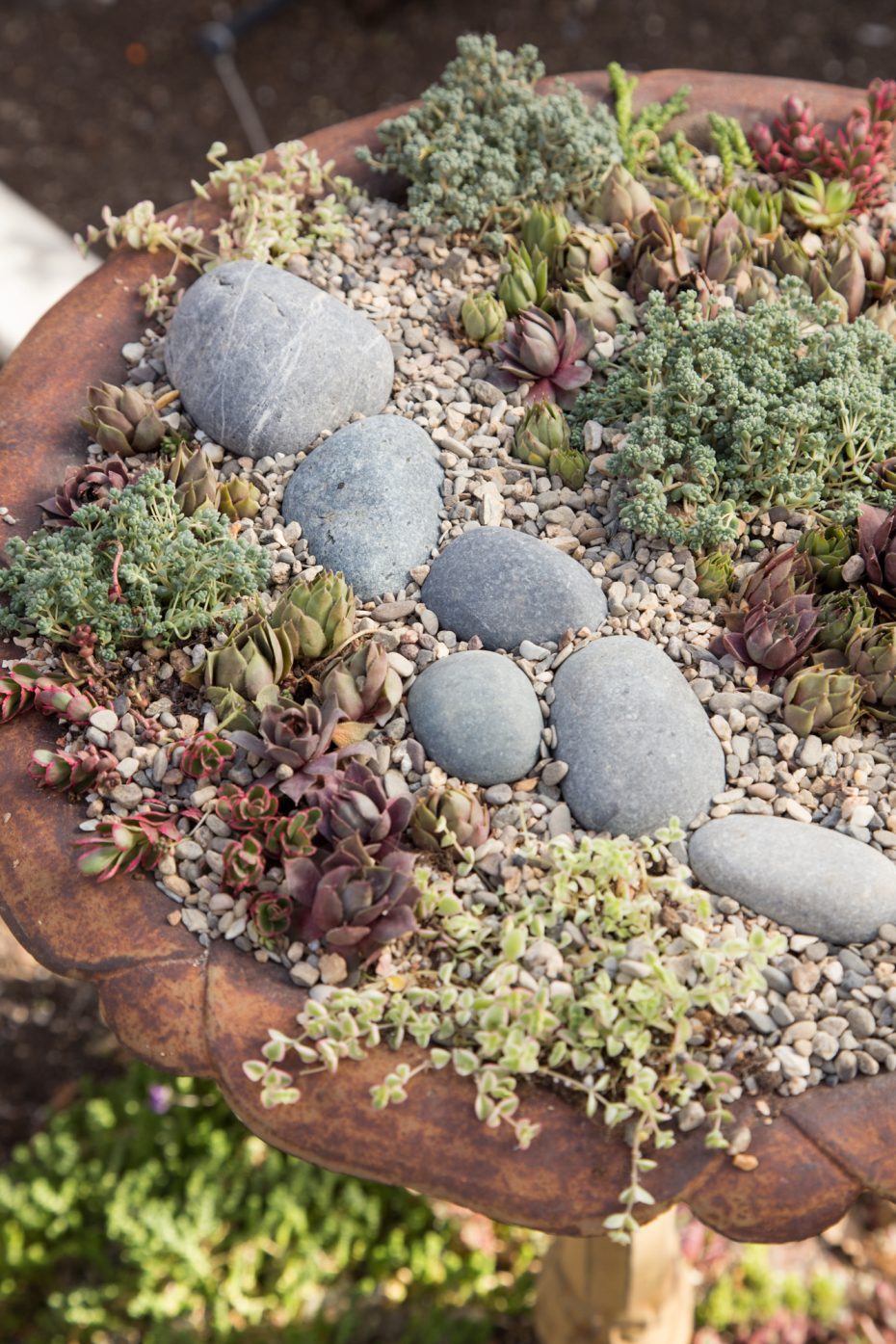 create a river of rocks for visual interest bird bath planter succulents