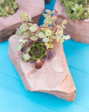 rock planter mountain crest gardens