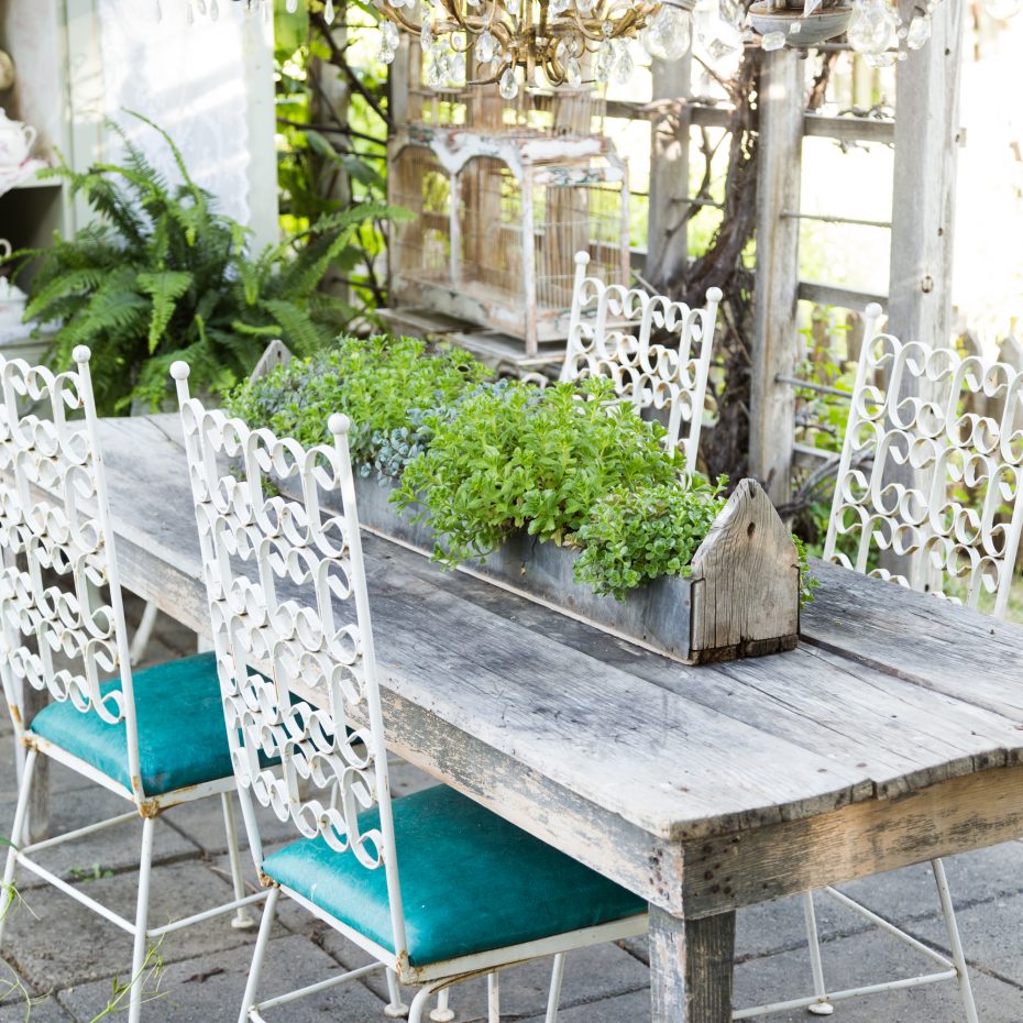 sedums in planter on table