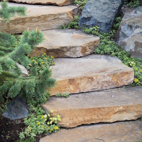 sedums lining stone steps