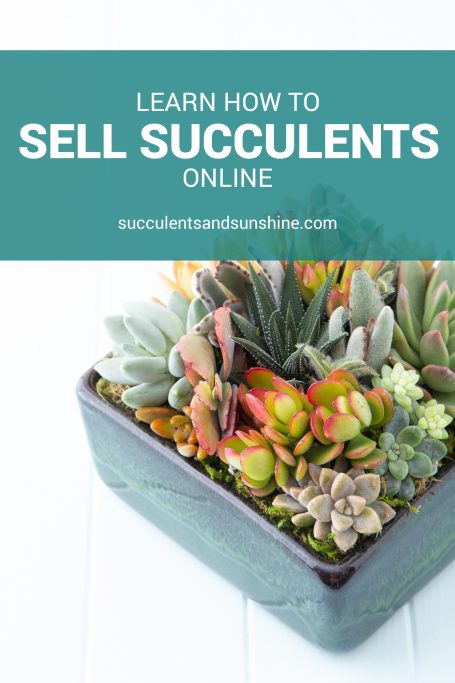 sellsucculents pinnable template