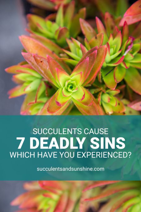 succulents seven deadly sins lust