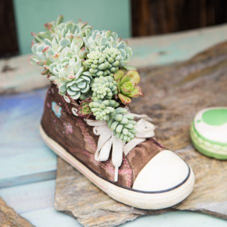 old shoe filled with blue succulents