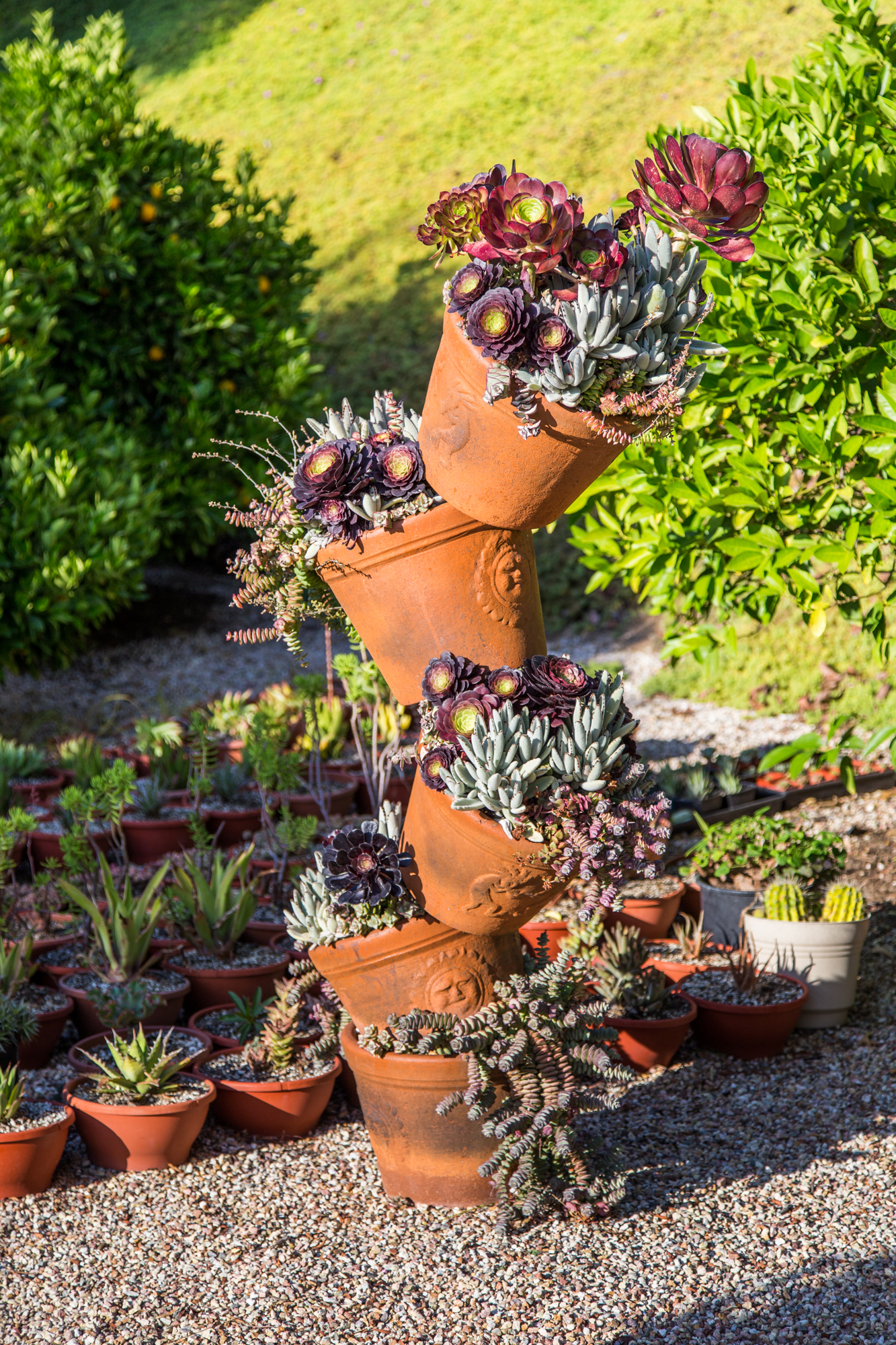 stacked terra cotta succulent pots