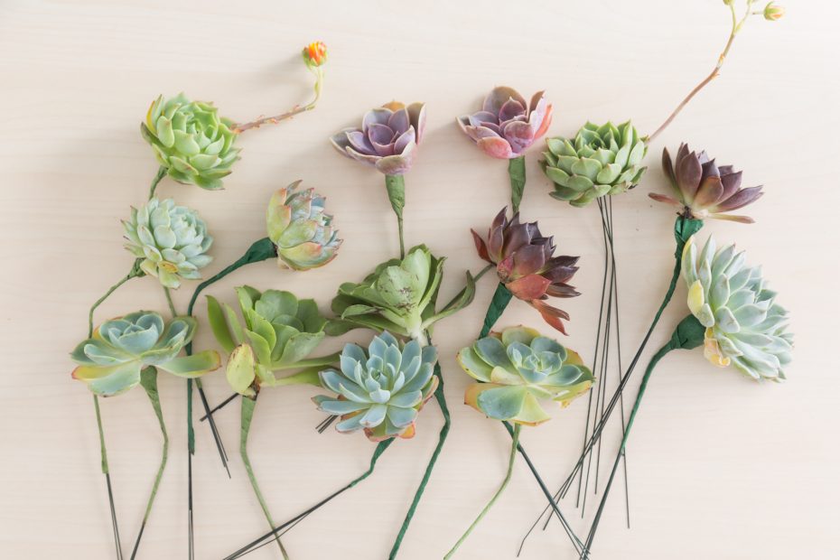 succulent cuttings wire stems bridal floral bouquet wedding