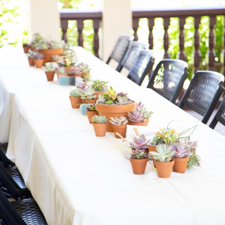 terra cotta pots white linens succulent table centerpiece decoration wedding