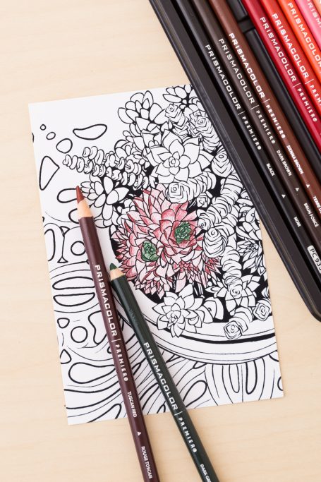 prismacolor pencils succulent coloring cards