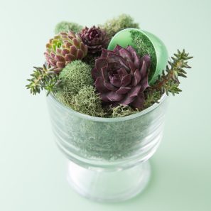 reindeer moss succulents egg easter decoration