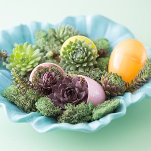 easter decoration in shallow tray with succulents eggs