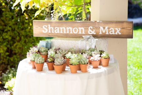 wedding gift guest favors succulents terra cotta pots