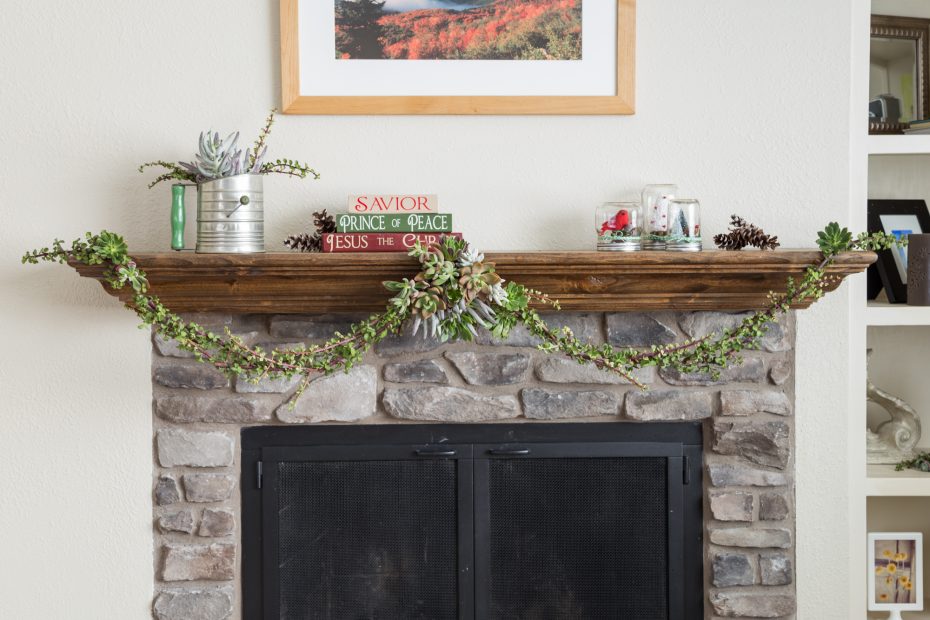 christmas colored succulent garland cuttings