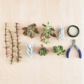 make succulent garland cuttings wire cutters supplies