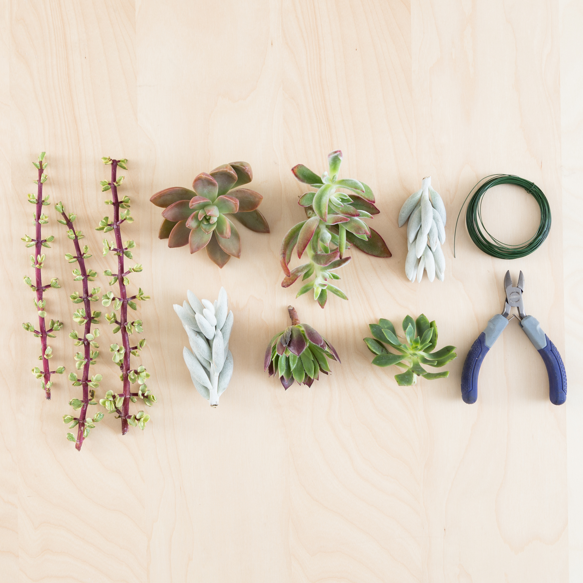 make succulent garland cuttings wire cutters supplies