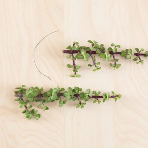 use wire to attach succulent cuttings together to form garland