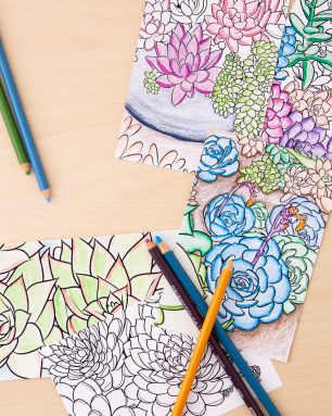 succulent gifts coloring