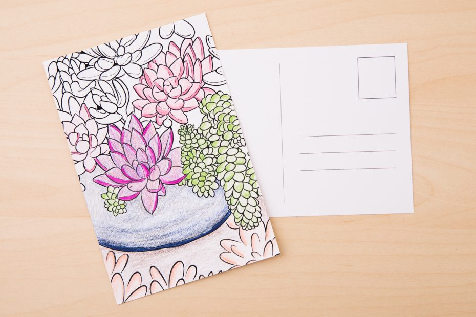 printable succulent post card to color