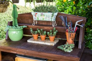 succulent potting bench