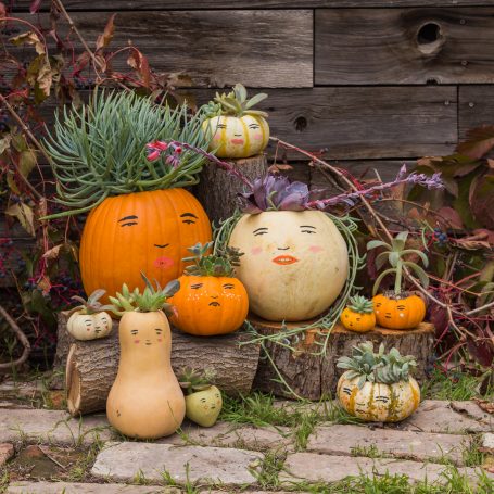 pumpkin family painted faces succulent hair