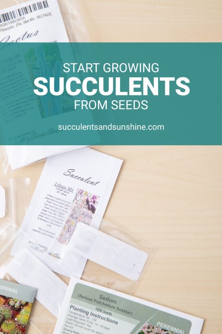 succulent seeds tutorial