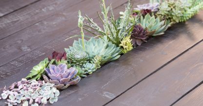 tips creating succulent table Ceropegia woodii string of hearts echeverias wood centerpiece