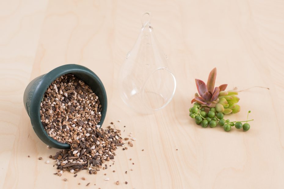 succulent terrarium supplies