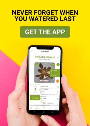 succulent tracker app ad