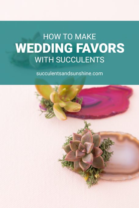 succulent wedding favor tutorial