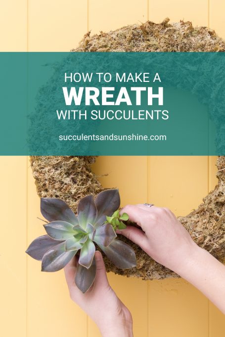 succulent wreath tutorial