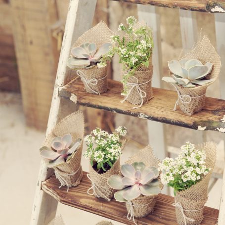 succulent favors wrapped with burlap string