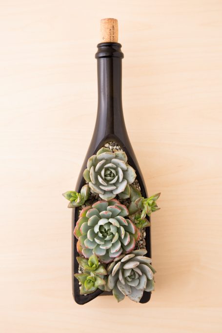 succulents in wine bottle planter