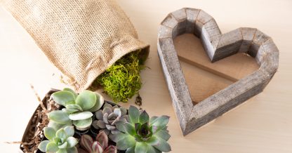 tools kit diy succulent planter tutorial gifts