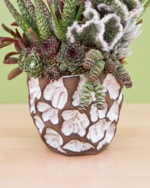 susan aach ceramics pottery succulents