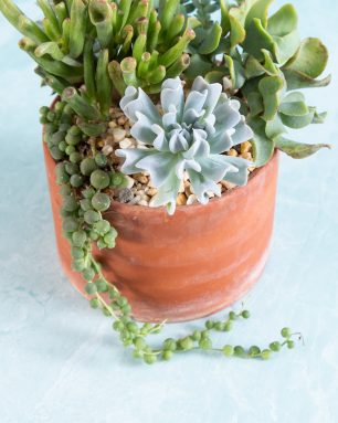 terra cotta planter modern