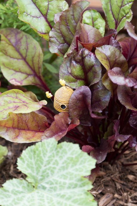 small yellow beehive decoration succulent garden