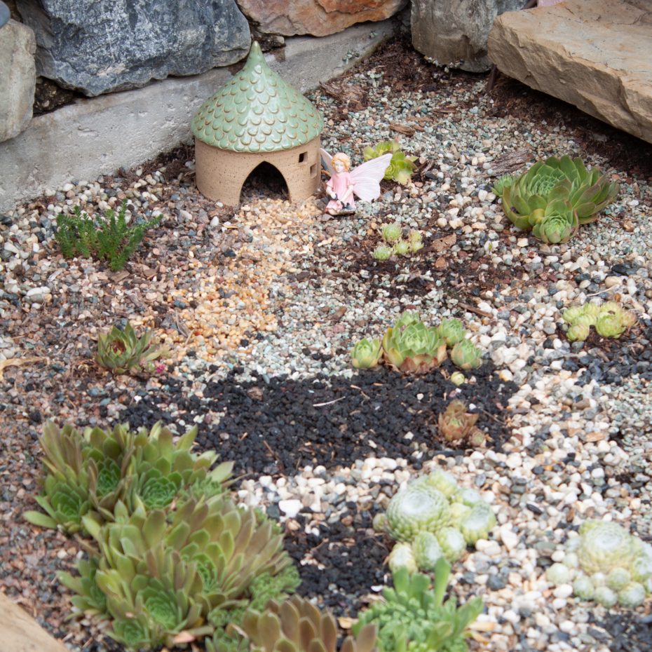 toad house fairy succulent garden cold hardy